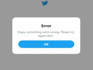 Twitter Error