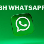 BH WhatsApp Download yang Resmi Official Apk Terbaru 2024
