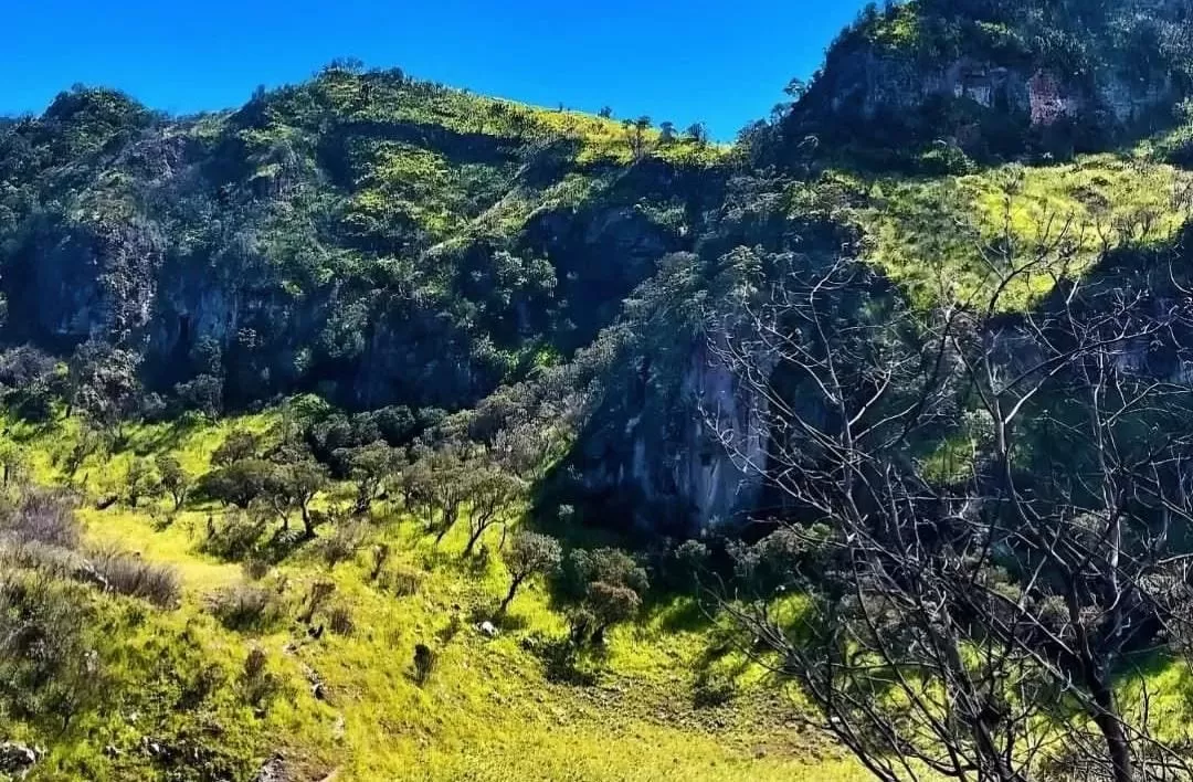 Belasan Pendaki Gunung Lawu Sempat Hilang Kontak Saat Mendaki Via Jalur Ilegal
