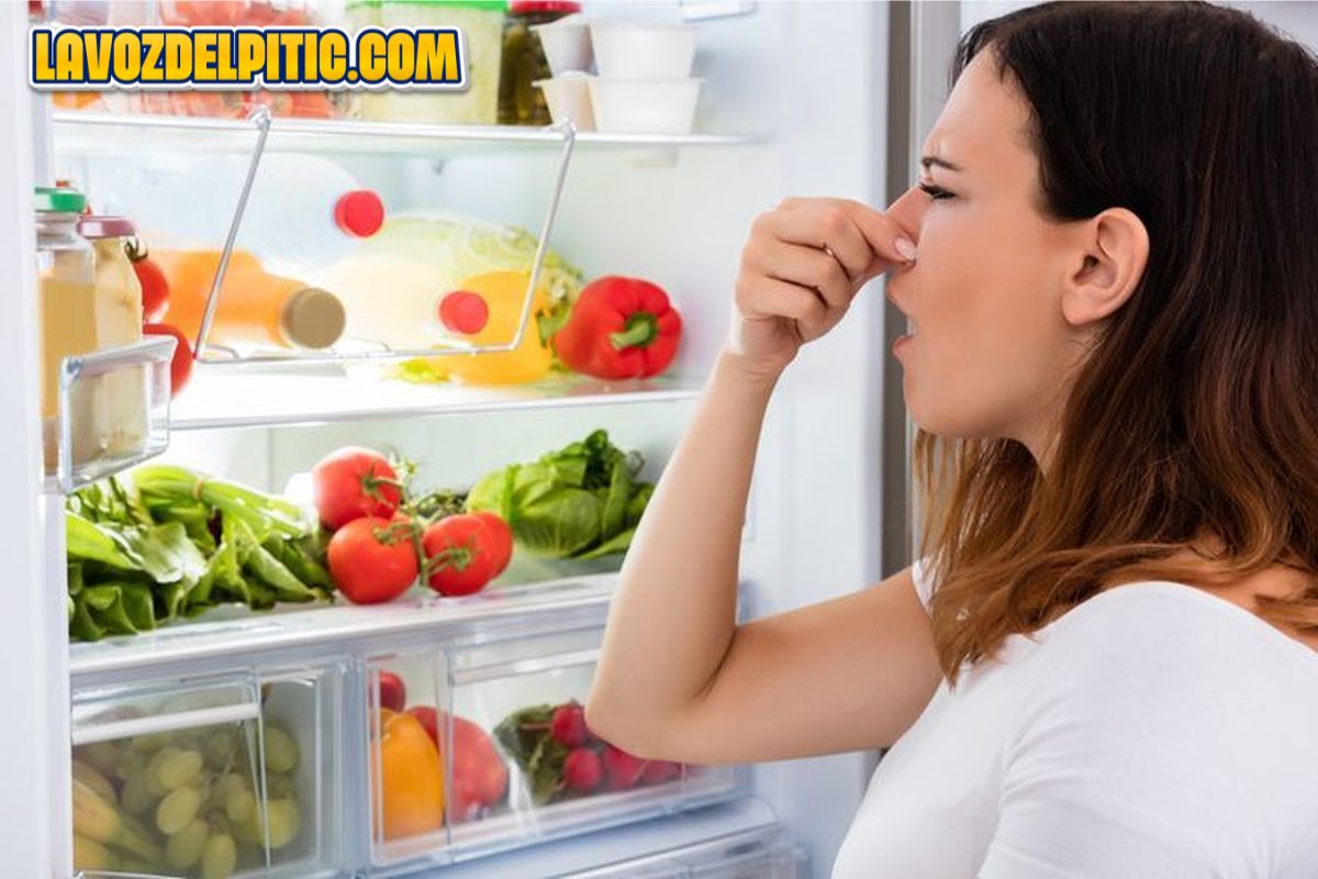 Ternyata 5 Daftar Makanan Ini Bisa Membuat Kulkas Jadi Bau, Hindari Segera!