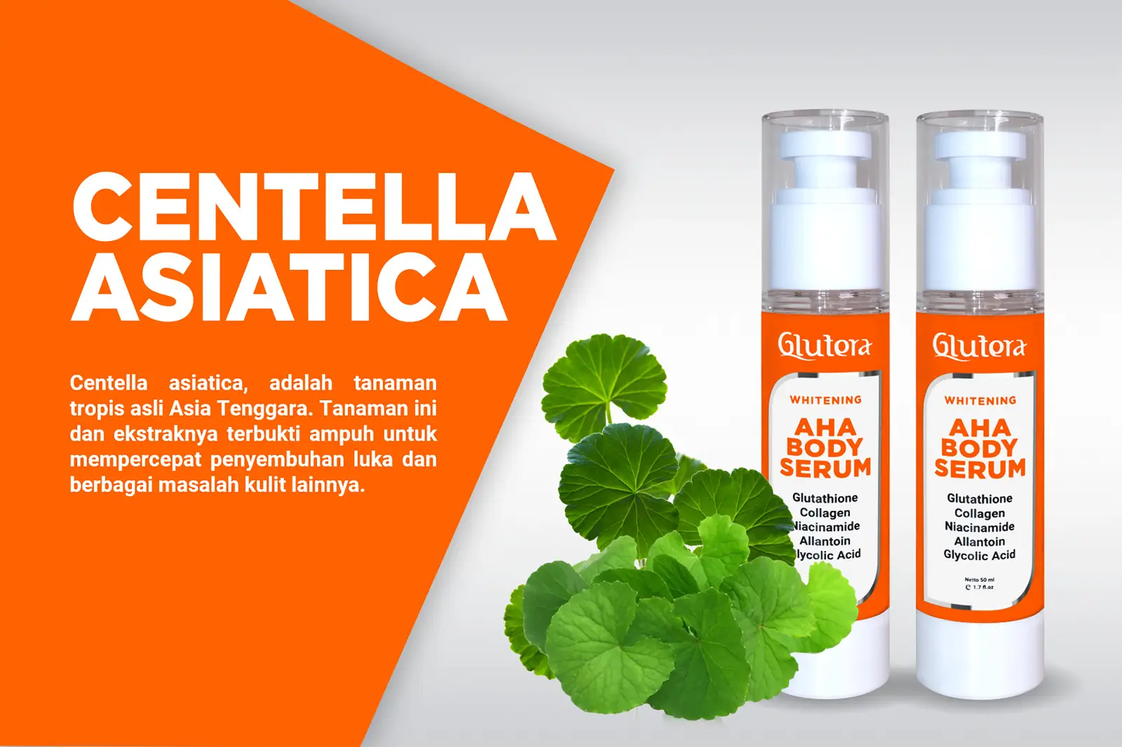 Manfaat Centella Asiatica